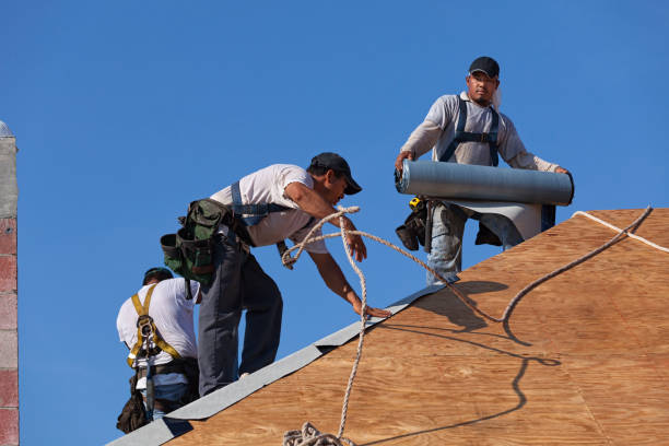 Best Local Roofing Companies  in Meadow Vale, KY